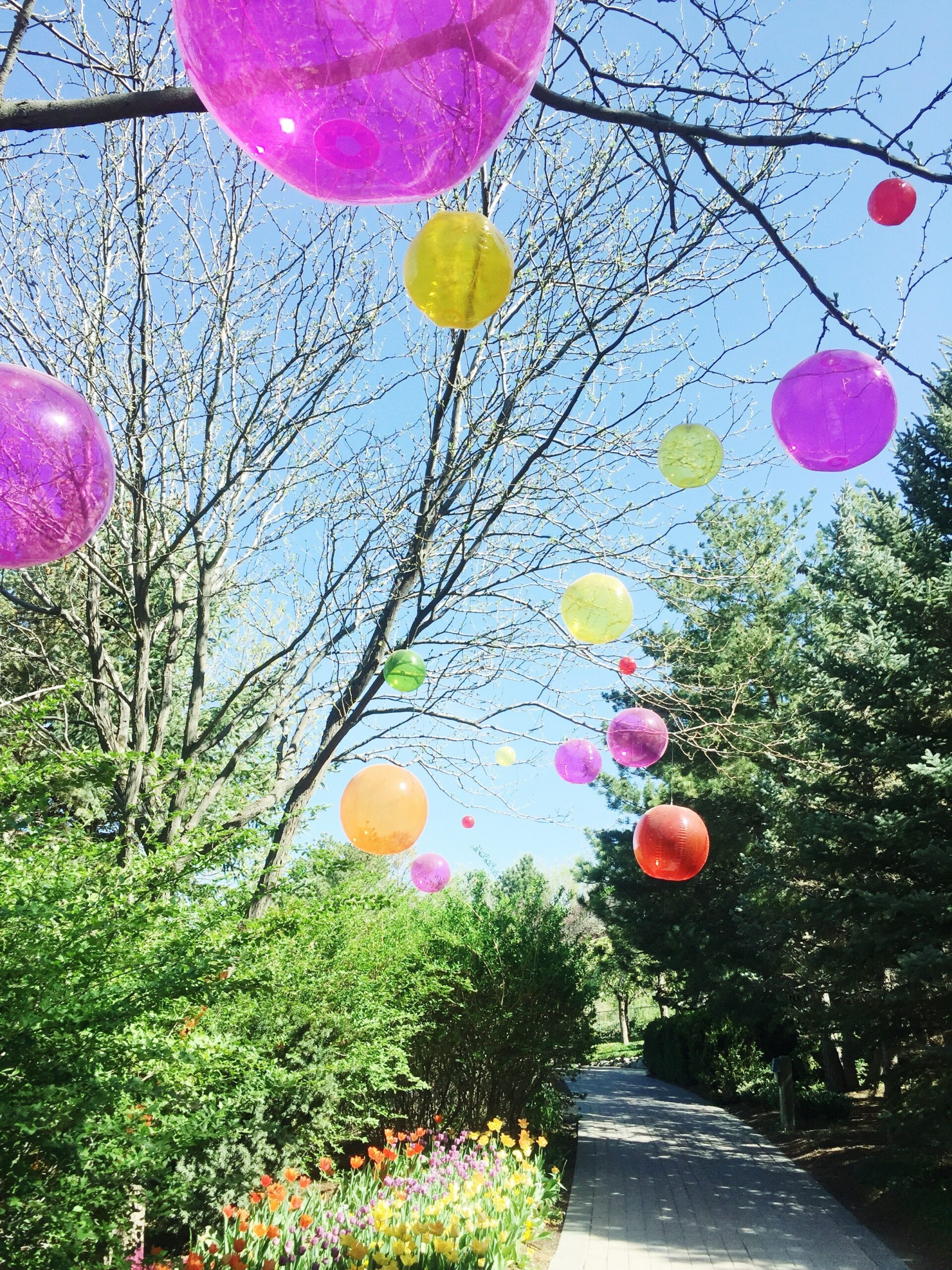 Bunte Luftballons in einem frühlingshaften Park